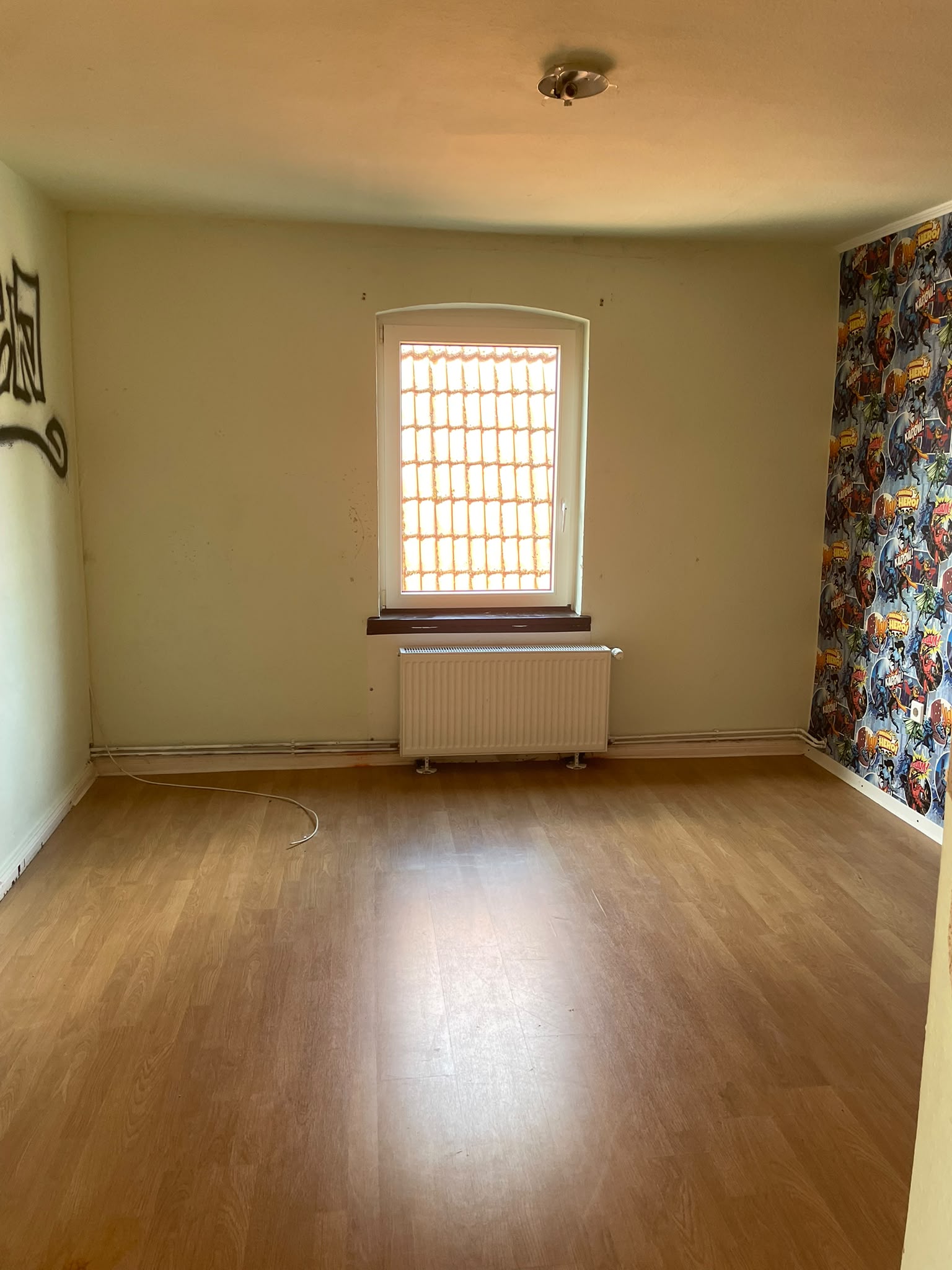 Grundstück mit Altbestand - Einfamilienhaus & Nebengebäude – ideal für Neubau oder Kernsanierung