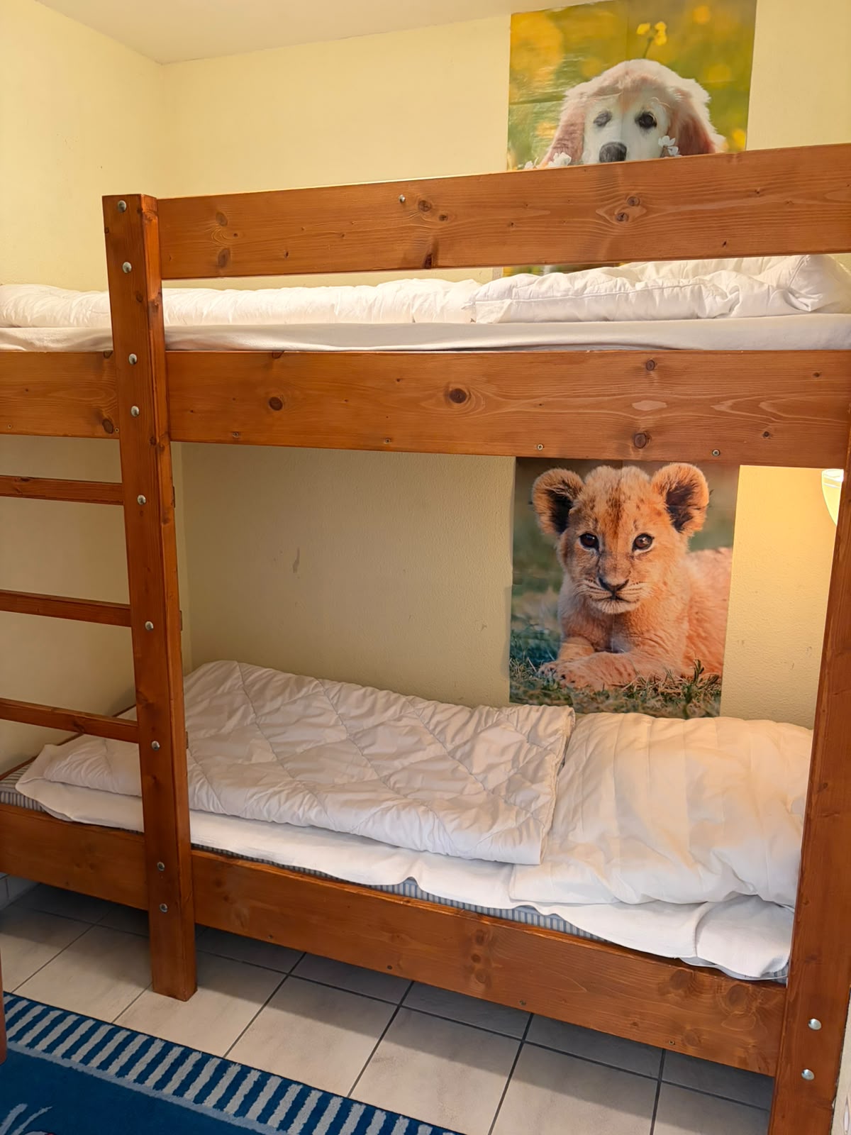 Wohlfühlurlaub in Duhnen – Komfort, Pool und Sauna inklusive